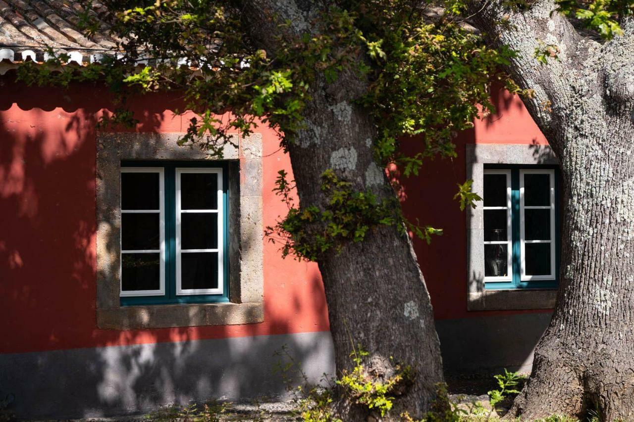 Quinta Das Vinhas Calheta  Eksteriør billede